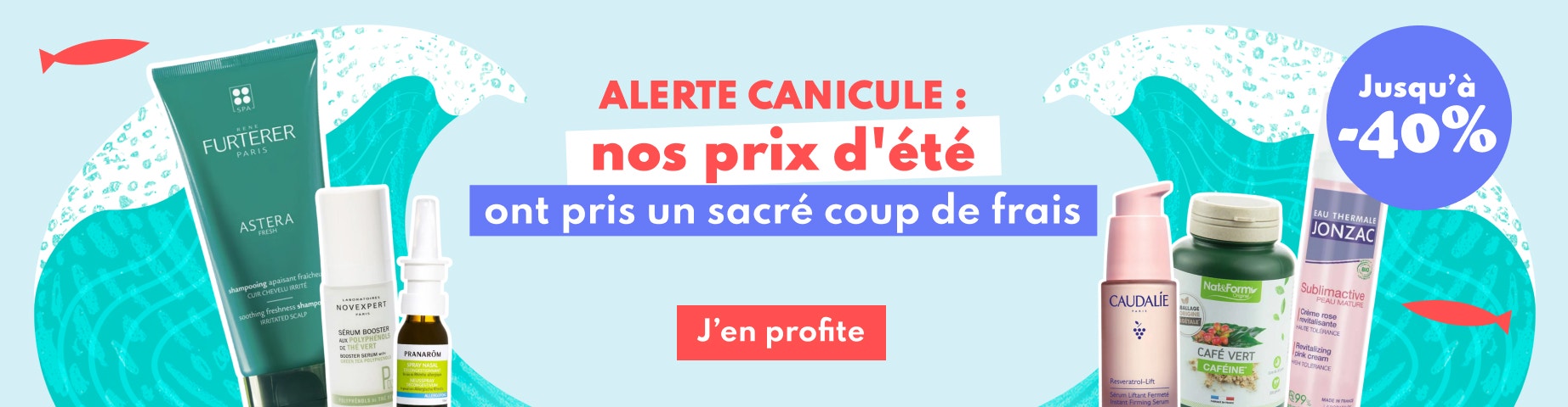 Profitez d'offres jusqu'à -40% !