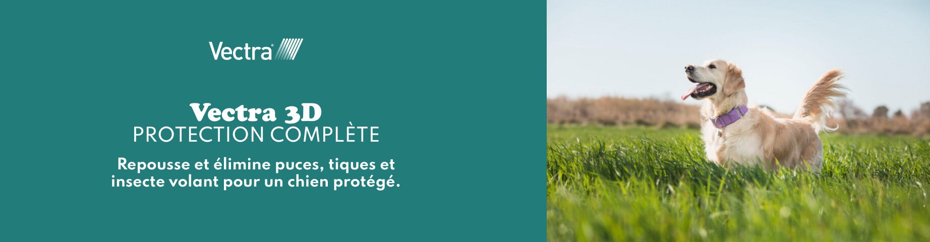 Découvrez la marque Vectra pour protéger votre compagnon