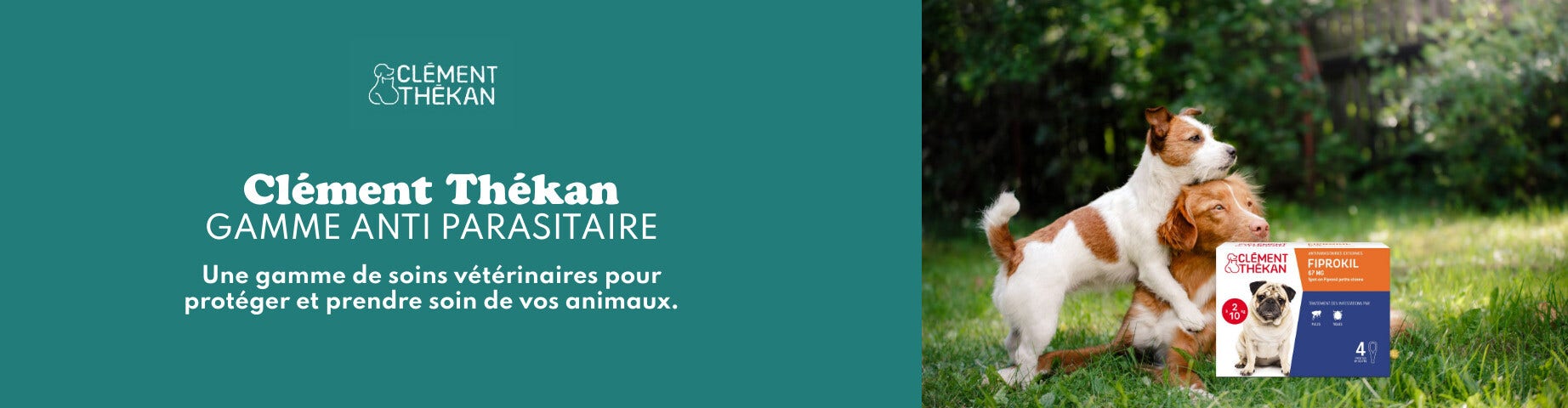 Découvrez Clément Thekan!