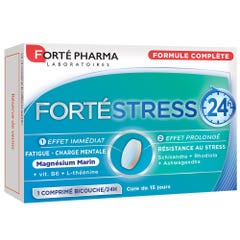 Forté Pharma Forte Stress 24h 15 Comprimes