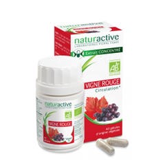 Naturactive Extrait concentré Vigne Rouge Bio Circulation 60 gélules