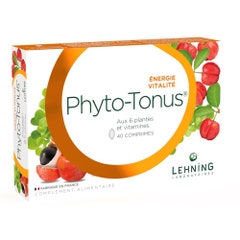 Lehning Phyto-Tonus® Dynamisme et Vitalité 40 comprimés