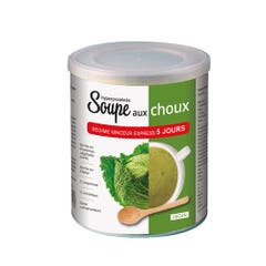 Nutri Expert Soupe Aux Choux Vegan 250g