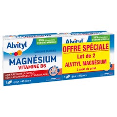 Alvityl Magnésium Vitamine B6 2x 45 comprimés