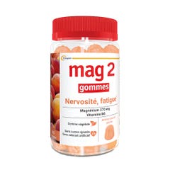 Mag 2 Magnesium + Vitamine B6 x45 gummies