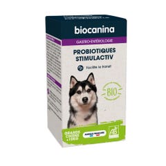 Biocanina Gastro-entérologie Probiotiques Stimulactiv Bio Transit Grand Chien 176g