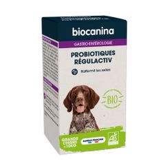 Biocanina Gastro-entérologie Probiotiques Regulactiv Bio Raffermit les selles Grand Chien 123g