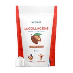 NUTRI&CO Collagène Marin Breveté Types 1&2 Poudre Peau Ferme Saveur Cacao 240g