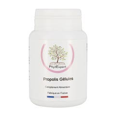 Phytexpert Propolis 90 Gélules