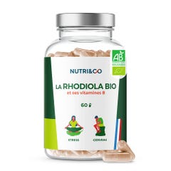 NUTRI&CO Rhodiola Bio 60 Gélules