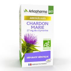 Arkopharma Arkogélules Chardon Marie Bio Dépuratif Hépatique 45 Gélules