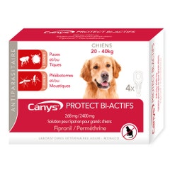Canys Protec Bi-actifs 268mg/2400 mg solution spot-on chien (20-40kg) 4x4.40ml