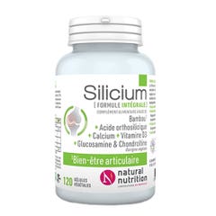 Natural Nutrition Silicium Bien-Etre Articulaire 120 Gélules