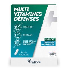 Vitavea Santé Multivitamines Défenses naturelles 30 Gélules