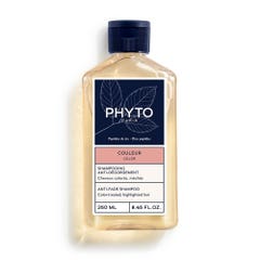 Care Shampooing Protecteur De Couleur Cheveux Colores Meches 250ml Phytocolor Phyto