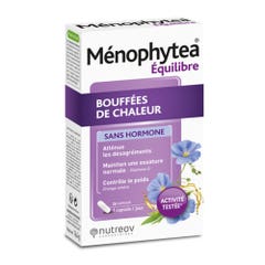 Ménophytea Bouffées De Chaleur Sans Hormone 28 capsules
