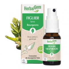 Herbalgem Bourgeons Spray Figuier Bio 15ml
