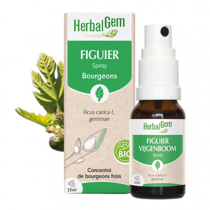 Spray Figuier 15ml Bourgeons Bio Herbalgem