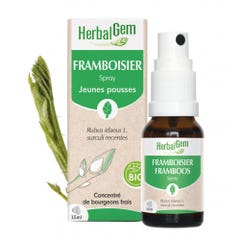 Herbalgem Bourgeons Spray Framboisier Bio 15ml