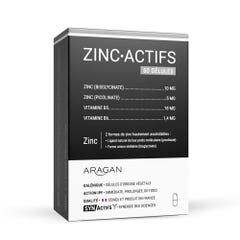 Aragan Synactifs ZincActifs 60 gélules