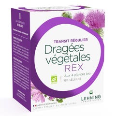 Lehning Dragées Végétales REX 4 plantes BIO 60 Gélules