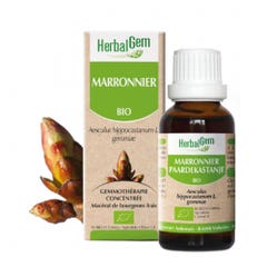 Herbalgem Bourgeons Confort Circulaire Veine Bio Marronnier Bio 30ml