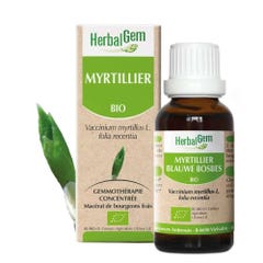 Herbalgem Bourgeons Myrtillier 30ml