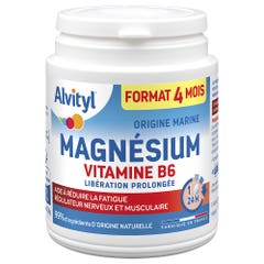 Alvityl Magnésium Vitamine B6 120 comprimés