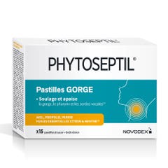 Novodex Phytoseptil Gorge 15 Pastilles