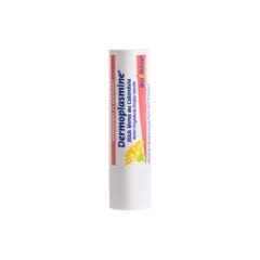 Boiron Dermoplasmine Stick lèvres Hydratant et apaisant 4g