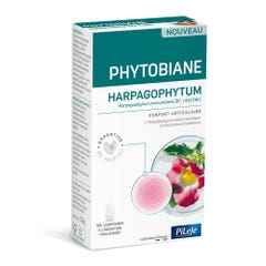 Pileje Phytobiane Harpagophytum Confort articulaire 45 comprimés