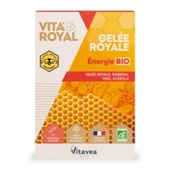 Vitavea Santé Vita'Royal Gelee Royale Energie Bio 10 ampoules