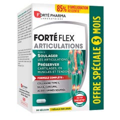 Forté Pharma Forté Flex Articulations 90 gelules
