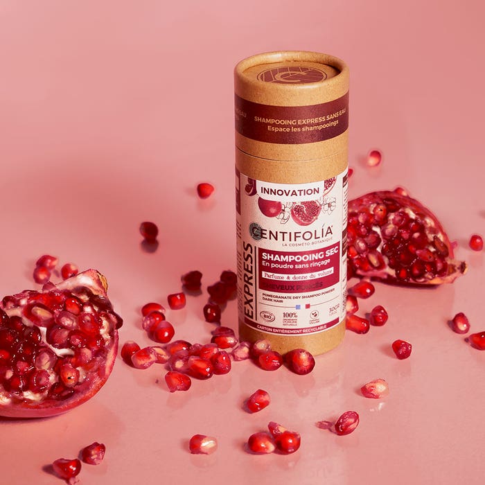 Centifolia Shampooing Sec en Poudre Sans Rinçage Cheveux Foncés 30g - Easypara