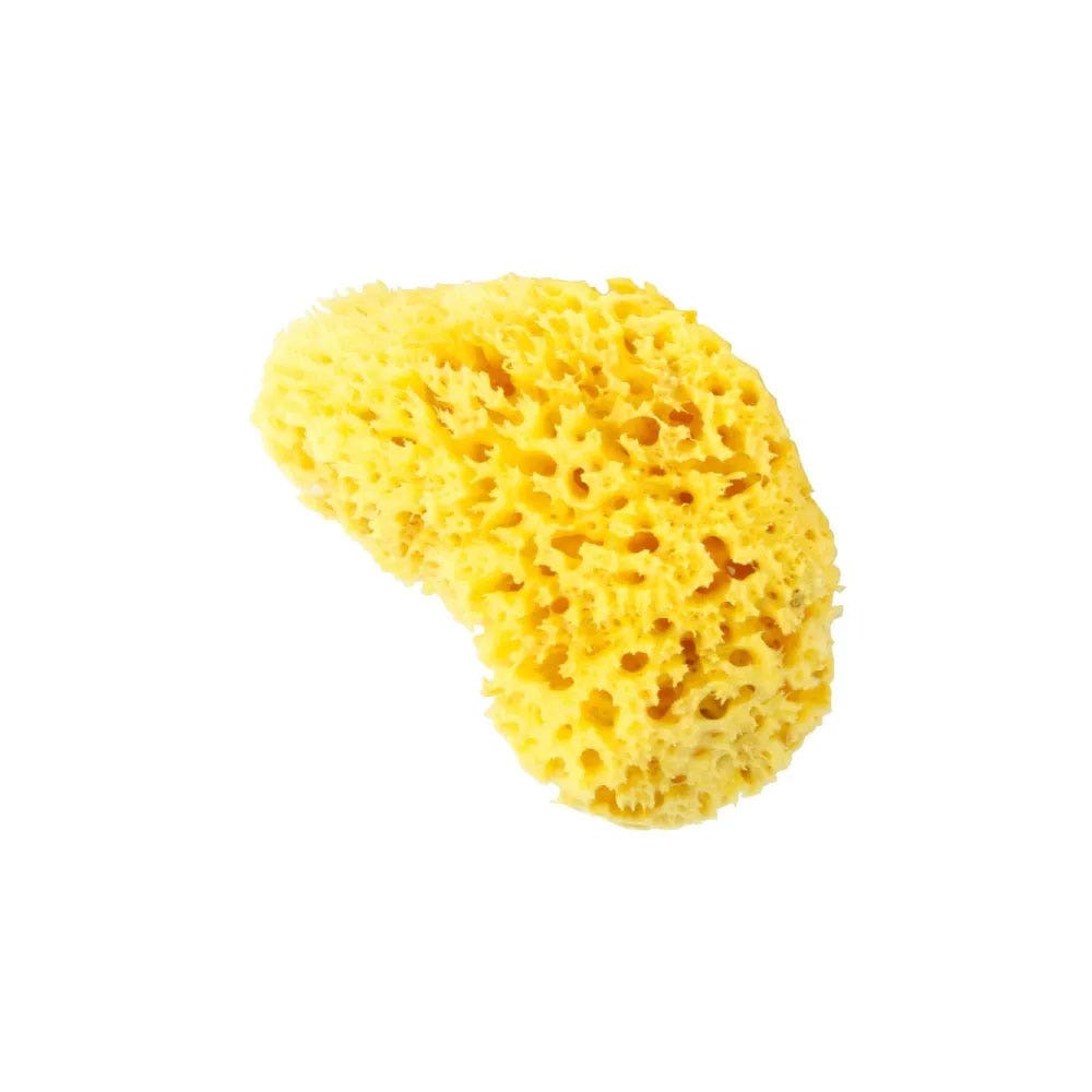 Estipharm Eponge Naturelle Ultra douce x1