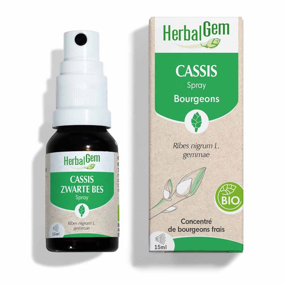 Herbalgem Bourgeons Spray Cassis Bio 15ml