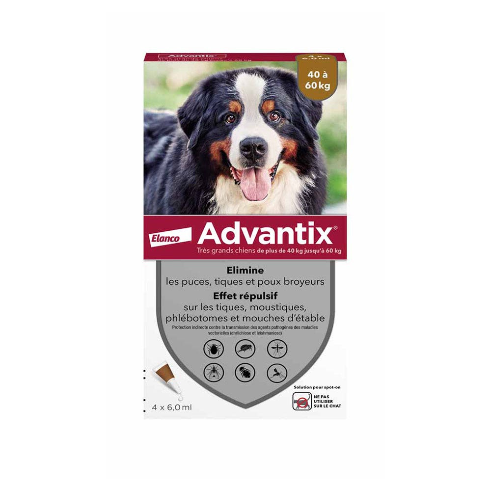 Advantix Pipettes Pour Très Grand Chien de 40 à 60gk 4 x 6,0ml