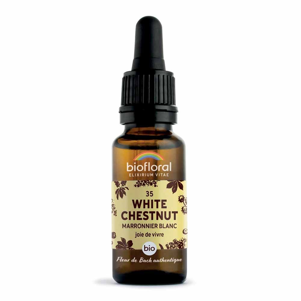 Biofloral N°35 Marronnier Blanc Bio Demeter Fleurs De Bach Vitalite Joie De Vivre 20ml