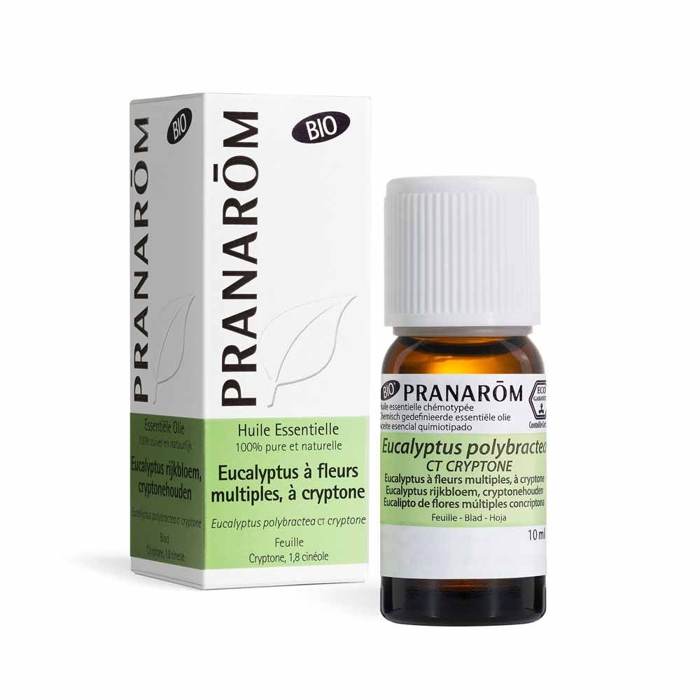 Pranarôm Les Huiles Essentielles Eucalyptus à Fleurs Multiples à Cryptone Feuille Bio 10ml