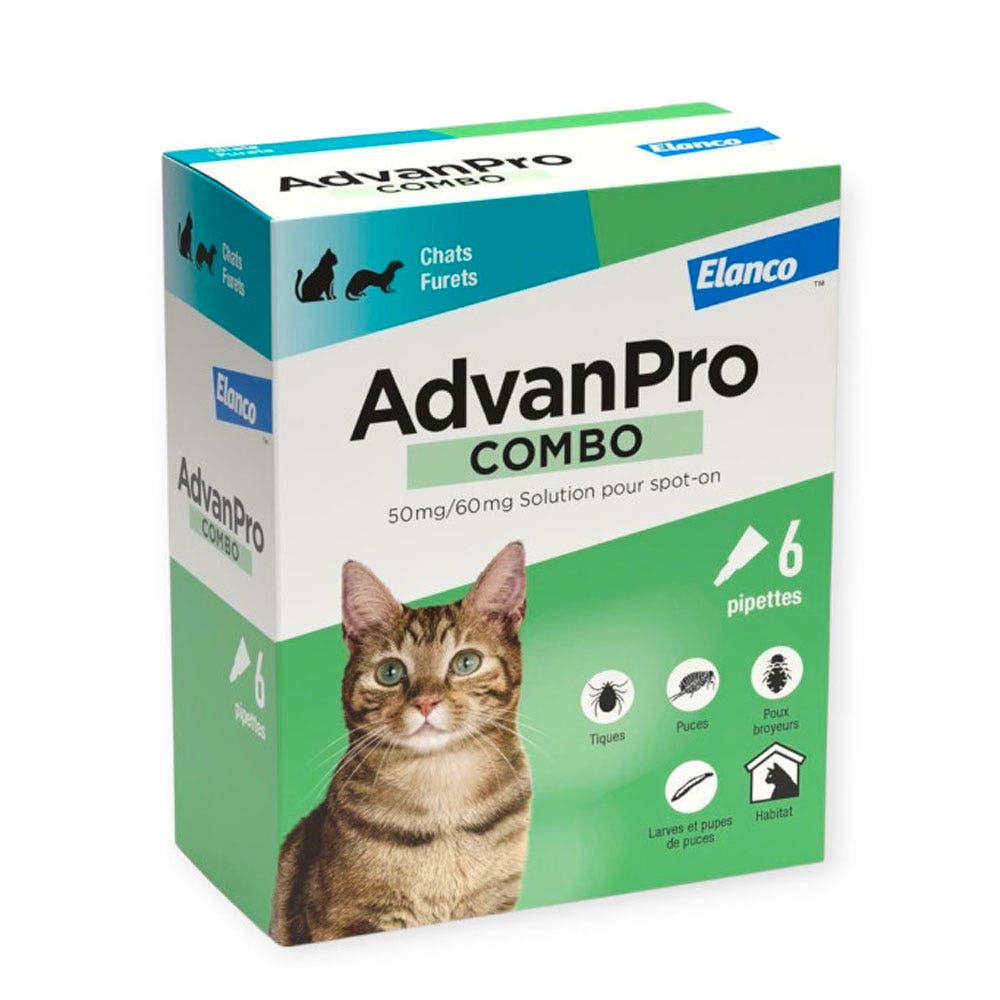 Advanpro combo Spot-On Chat x6 pipettes de 0,5ml