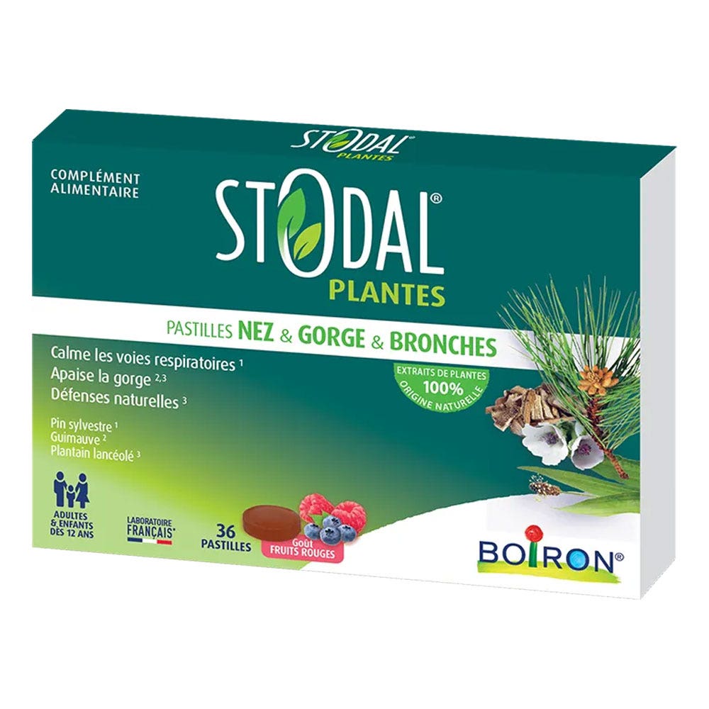 Boiron Stodal Plantes pastilles goût fruits rouges 36 pastilles