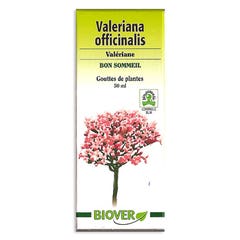 Biover Gouttes De Plantes Valeriana Officinalis Valeriane Bon Sommeil 50 ml