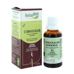 Herbalgem Bio Cornouiller 30ml