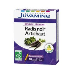 Juvamine Radis Noir Artichaut Depuratif Et Detoxifiant 10 Ampoules