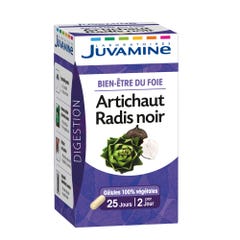 Juvamine Bien Etre du Foie Artichaut Radis Noir 50 Gélules