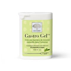 New Nordic Gastro Gel 30 Comprimes