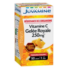 Juvamine Gelee Royale + Vitamine C 50 Gelules