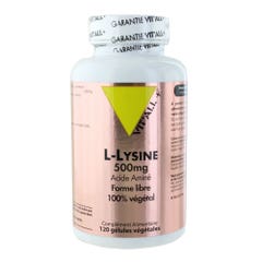 Vit'All+ L- Lysine 500mg 120 Gélules