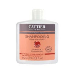 Cattier Shampooing Cheveux Gras Vinaigre De Romarin Bio 250ml
