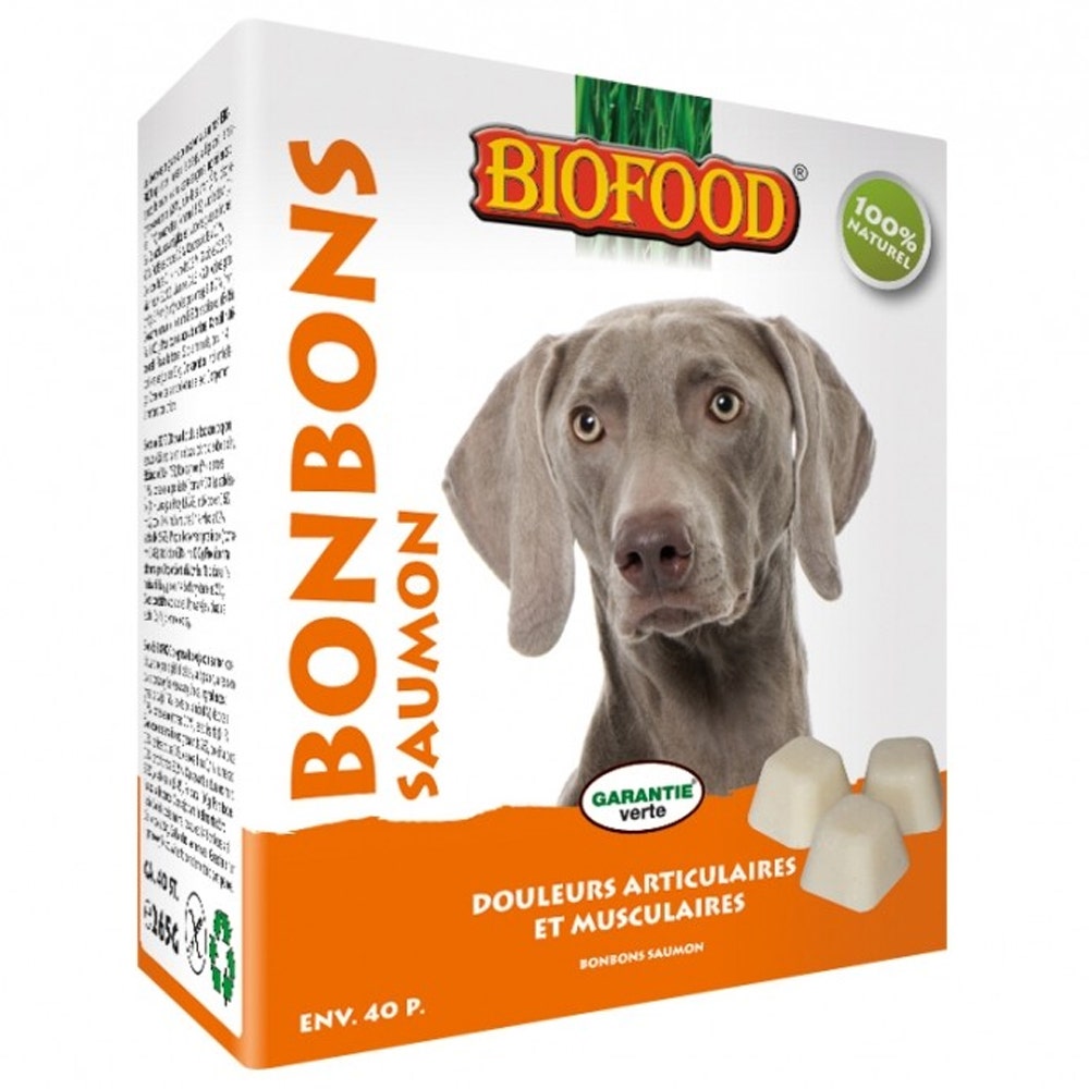 Biofood BF Petfood Bonbon Douleurs Articulaires Et Musculaires Maxi Saumon Chien 40 Pieces